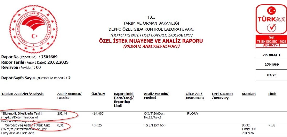ANALİZ SONUCU