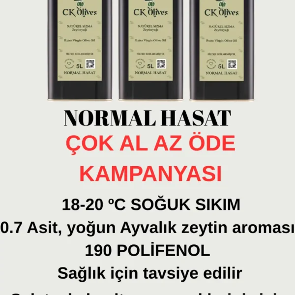 Normal Hasat Naturel Sızma Zeytinyağı (ÇOK AL AZ ÖDE)